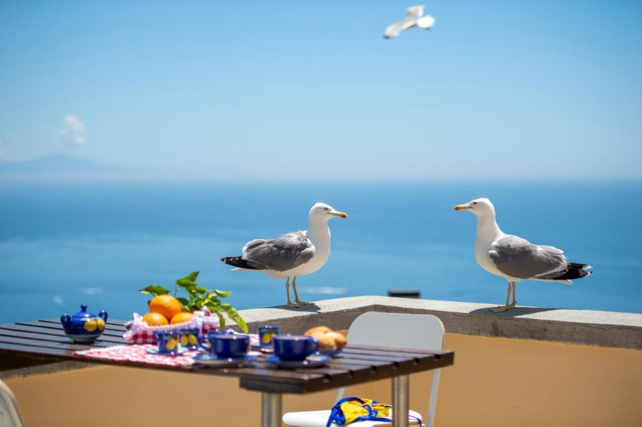 Casa Licia Apartment Позитано Екстериор снимка